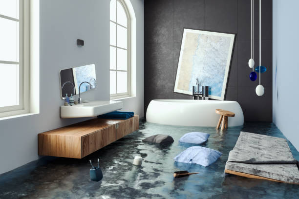 Best Mold removal after water damage  in Dixon, CA