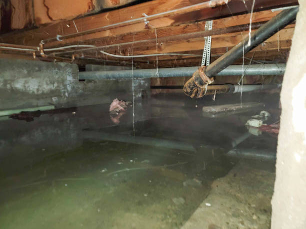 Best Water damage restoration near me  in Dixon, CA