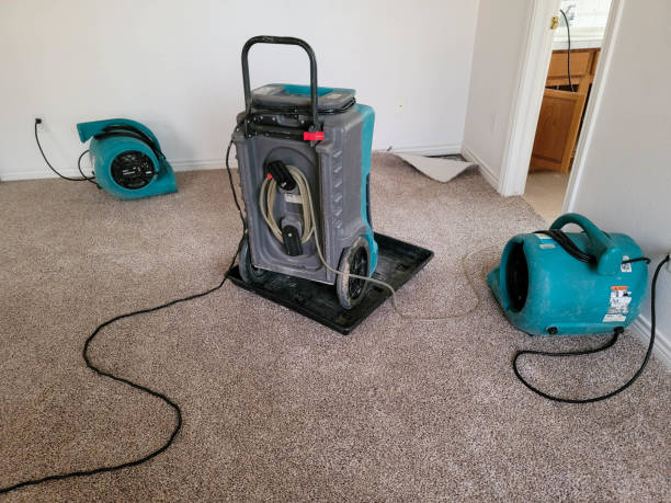 Best Ceiling water damage repair  in Dixon, CA