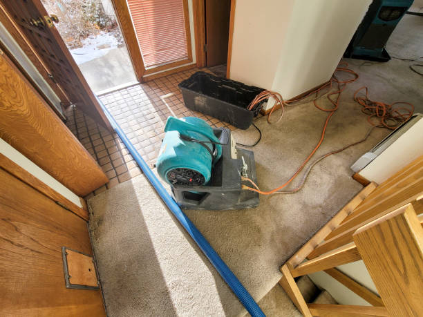 Best Local water damage restoration  in Dixon, CA