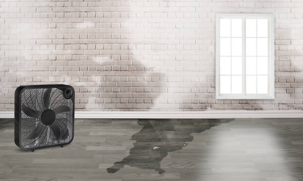 Best Residential water damage restoration  in Dixon, CA