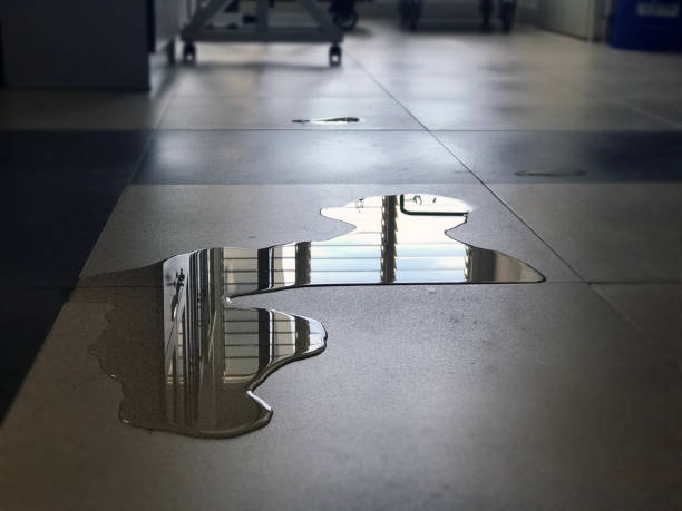 Best Carpet water damage restoration  in Dixon, CA